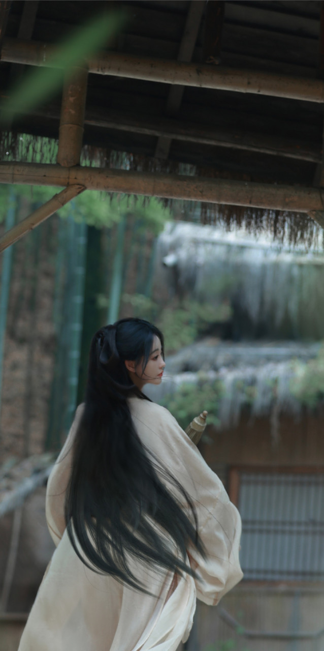 祝绪丹清冷感竹林写意大片,祝绪丹唯美古风穿搭造型写真壁纸