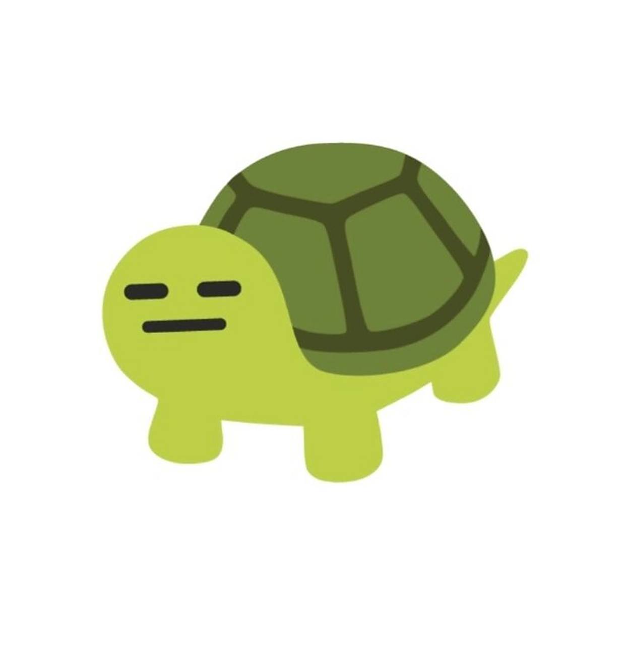 乌龟自制头像 自制的,拿图自取,模仿私信我