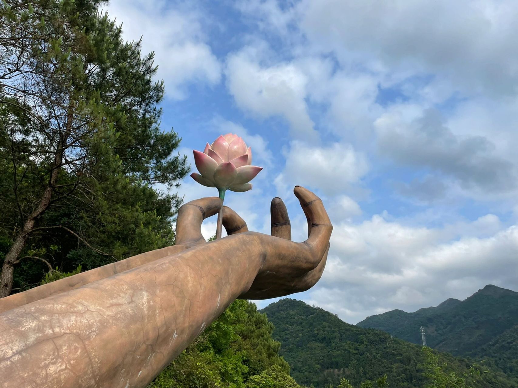 天露山一日游日记图片