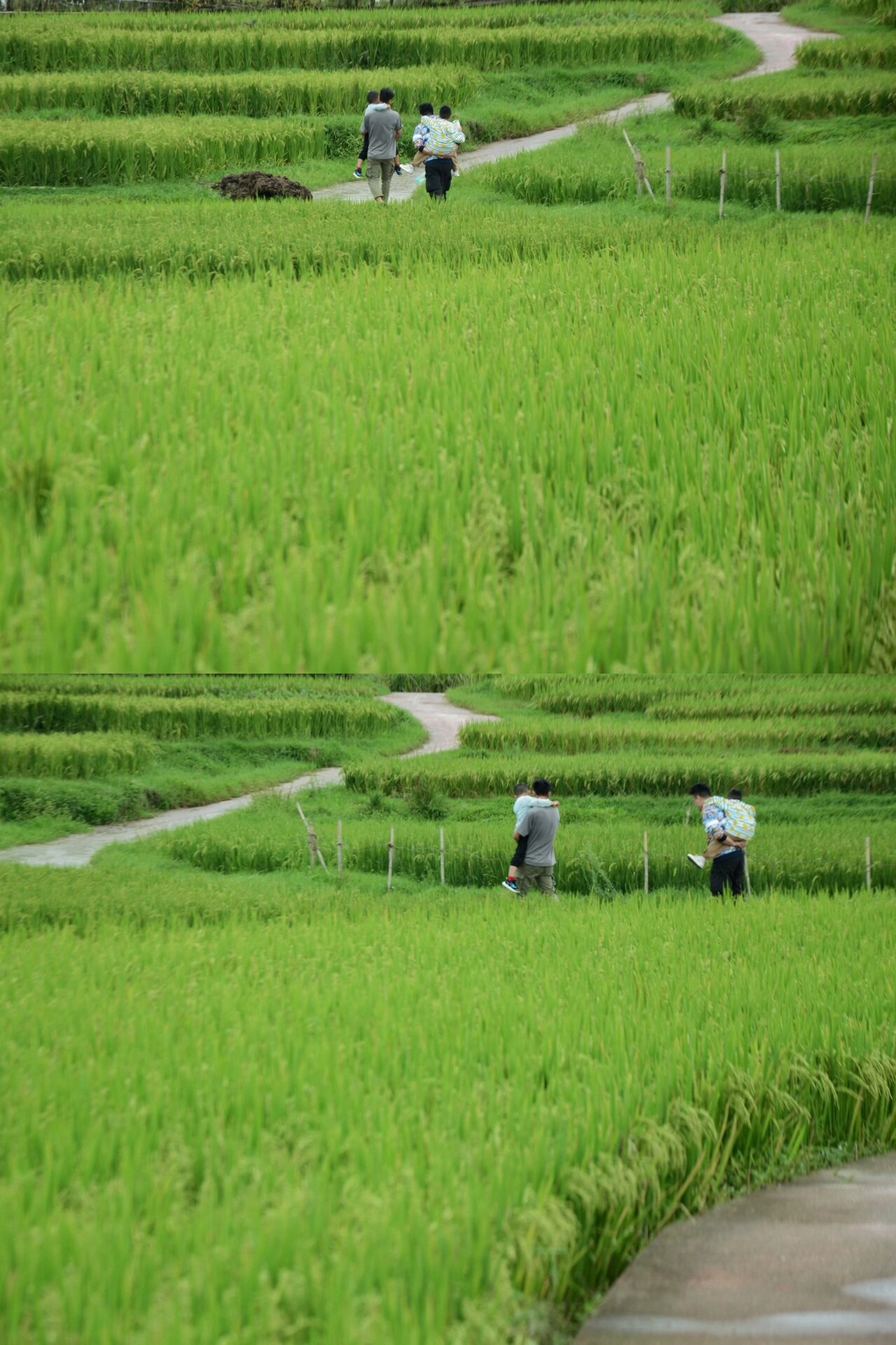 贵阳少数民族乡,追落日梯田的浪漫