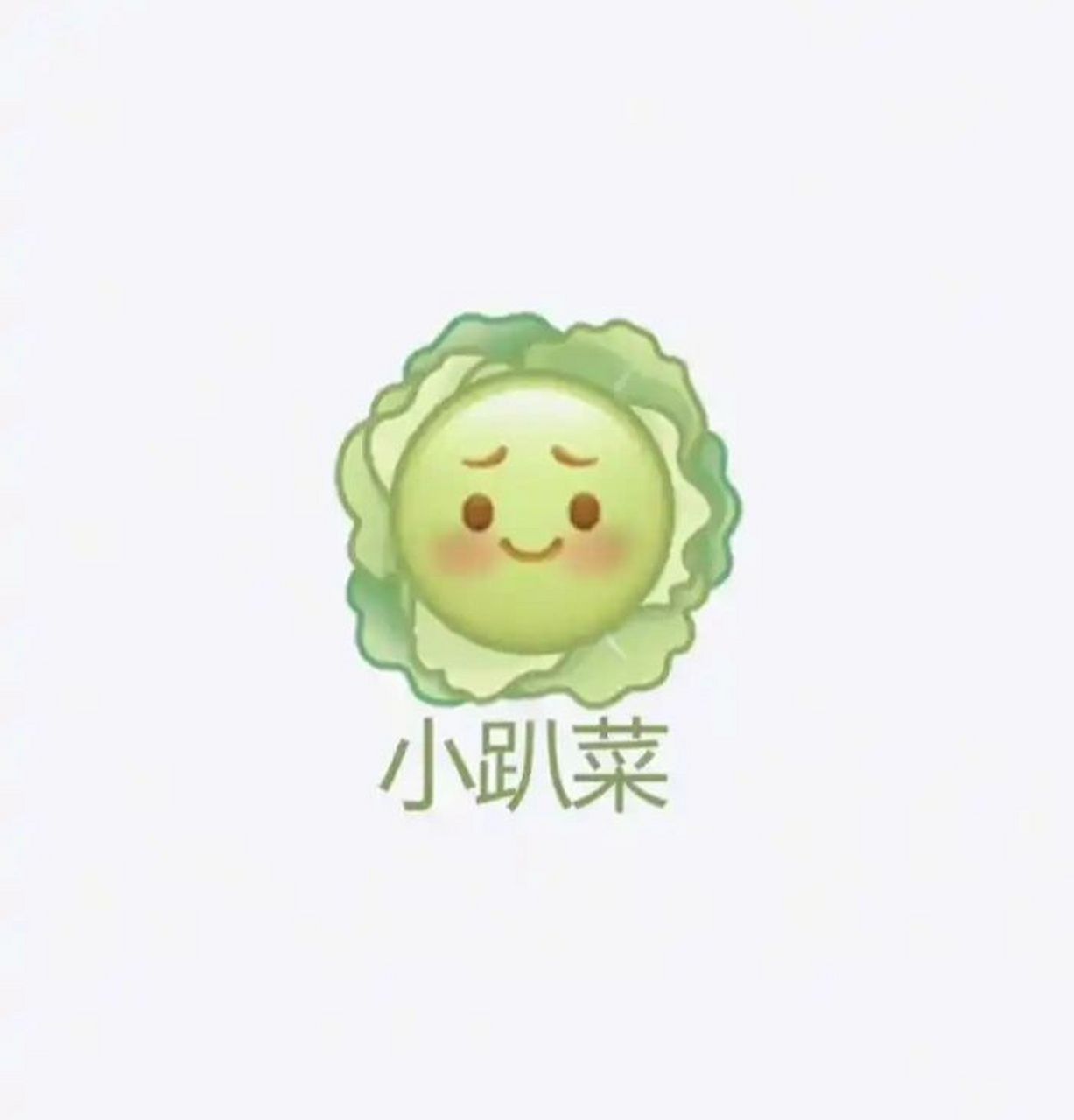 小趴菜表情包 这个表情包看起来还挺棒的感觉