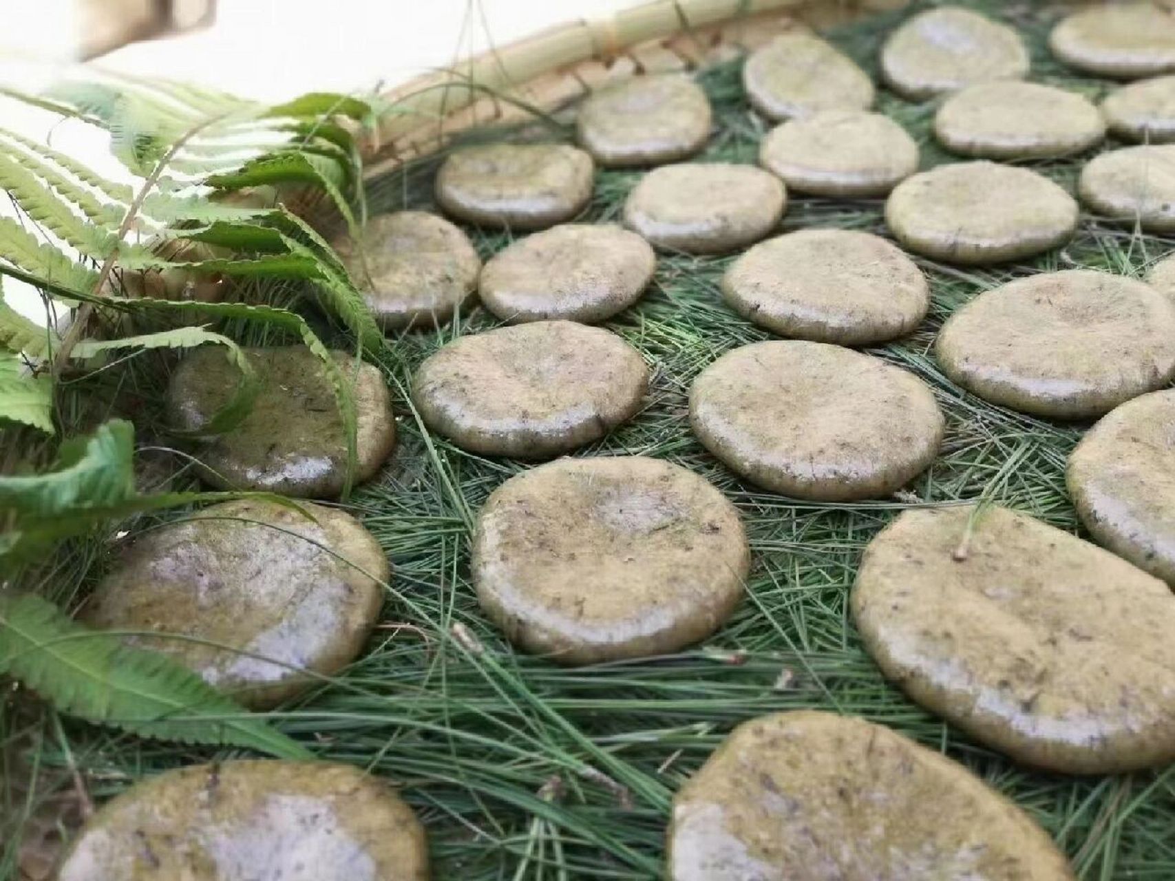 火草粑粑 口感清香,火草粑粑就是用这么漂亮的野花草做出来的,纯生态