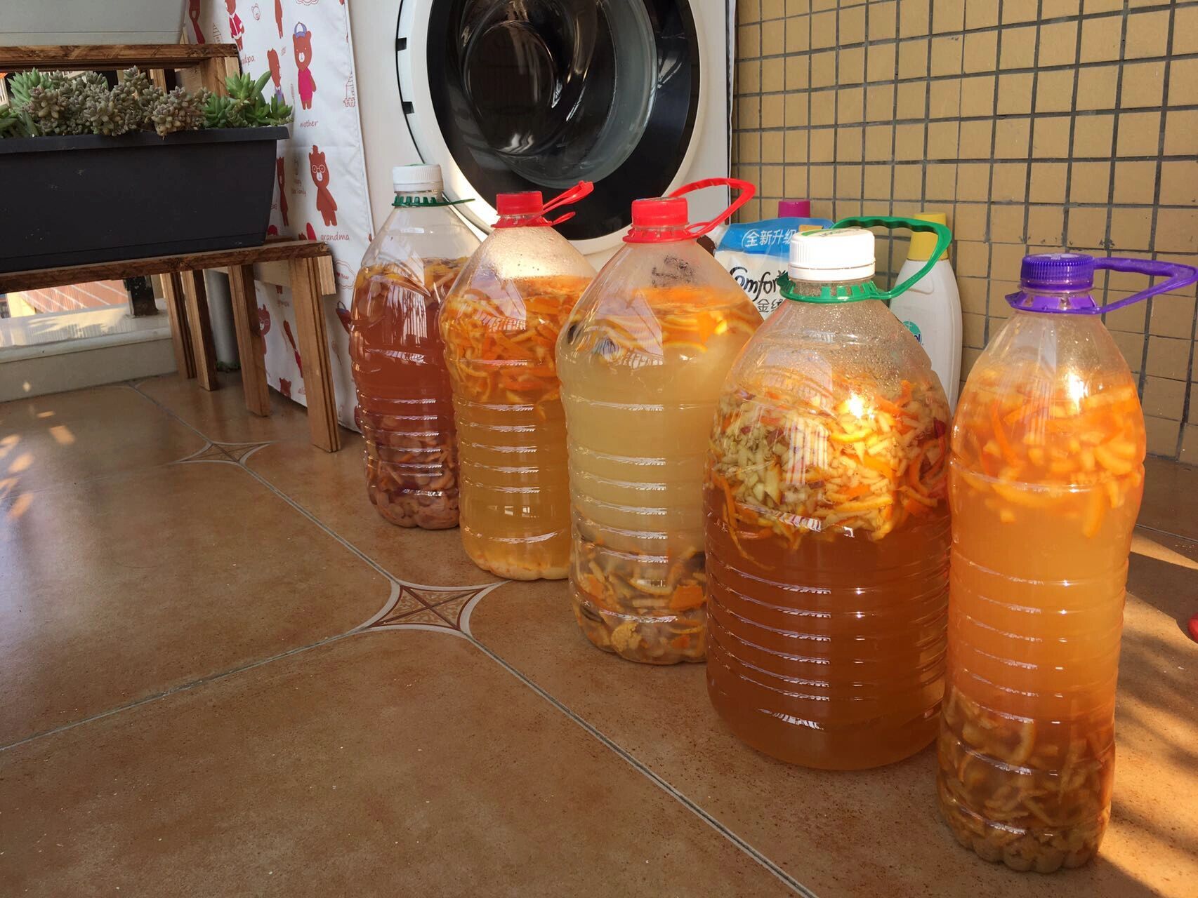 天然花肥|自制果皮酵素 家里种了月季后,肥料可是大头.