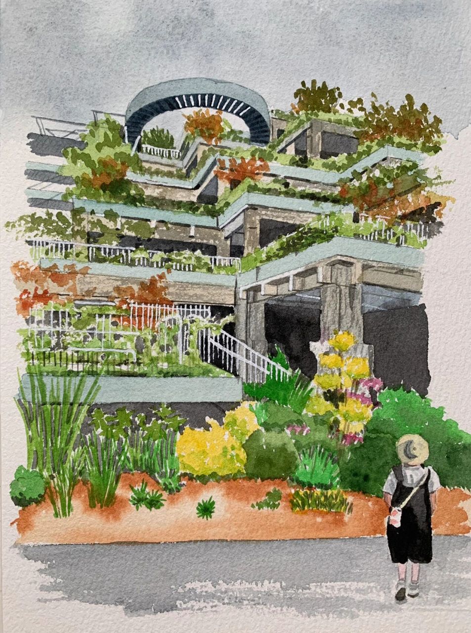 手绘水彩|绿之丘