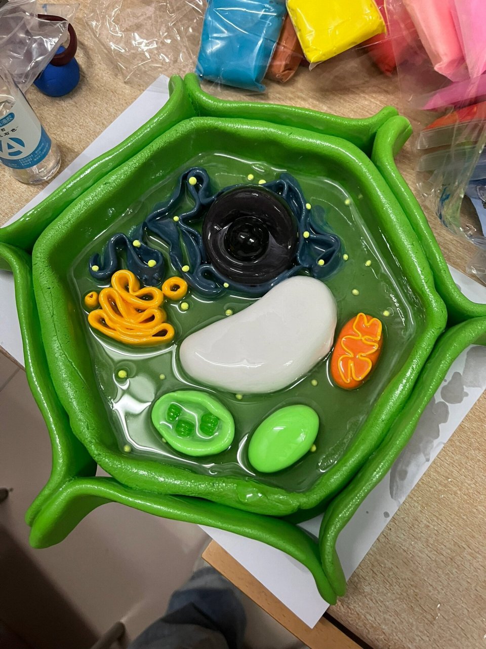 生物细胞器教具 被同学夸夸的一天!    制作详情下一个帖子有哦