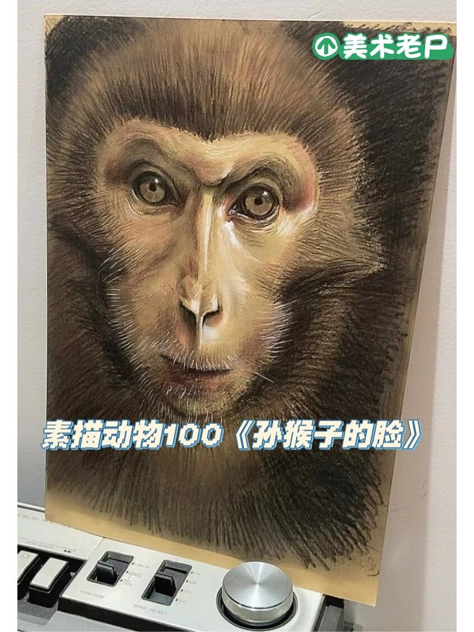 素描动物100《孙猴子的脸》 工具:300克牛皮卡纸,中,软碳笔,彩色铅笔