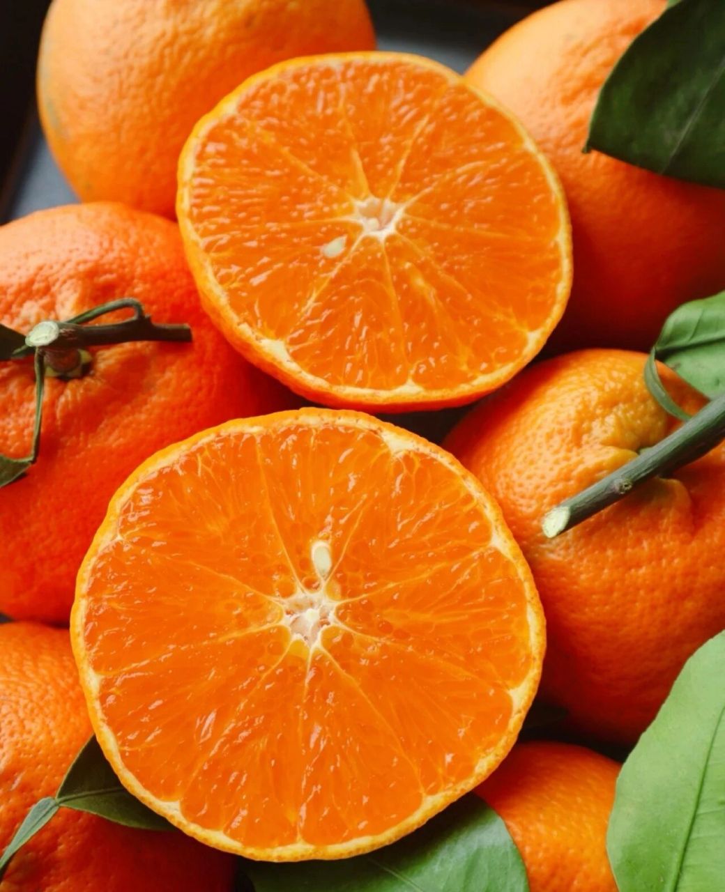 阿斯密——明日见 阿斯密——明日见,目前柑橘类最顶级品种,种植难度