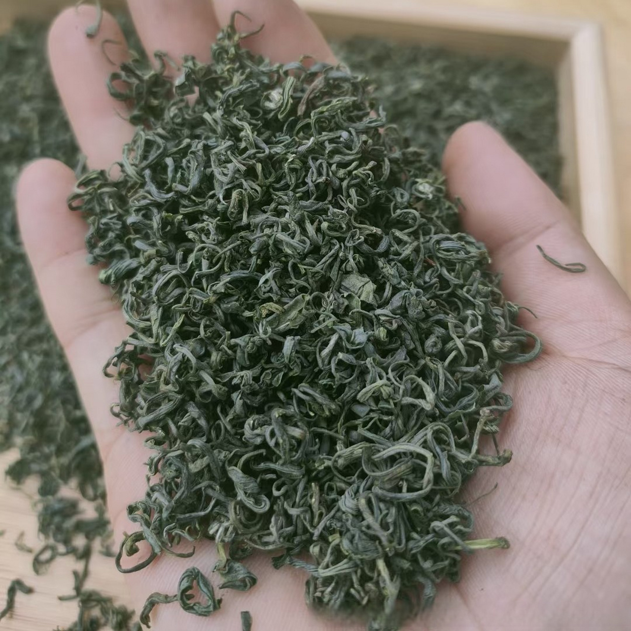 我在惠农网发现这个高山云雾茶恩施富硒茶卖得很火,赶紧来看看吧!