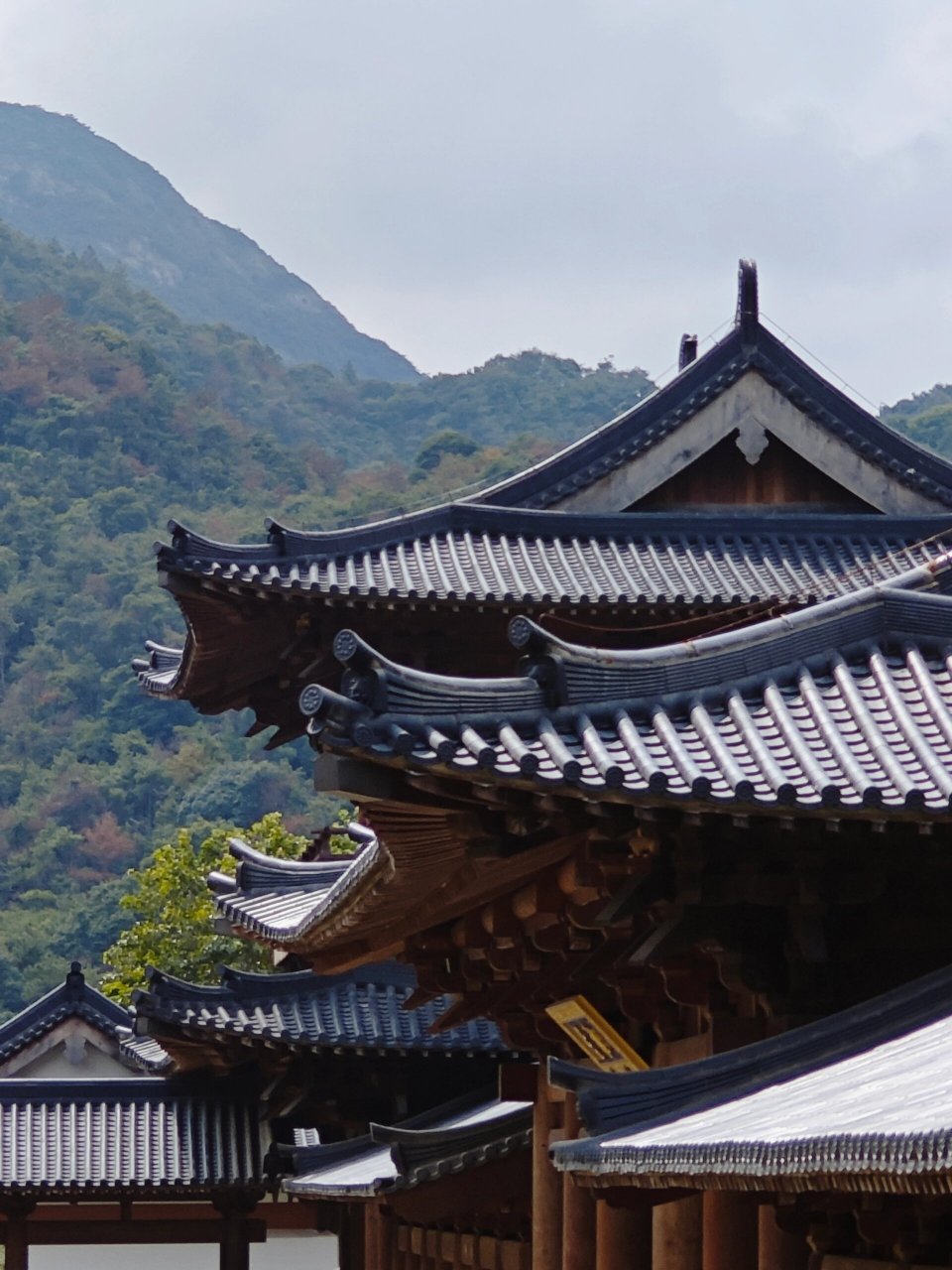 福清黄檗山 万福寺> 黄檗山 创建于唐贞元五年(公元789)