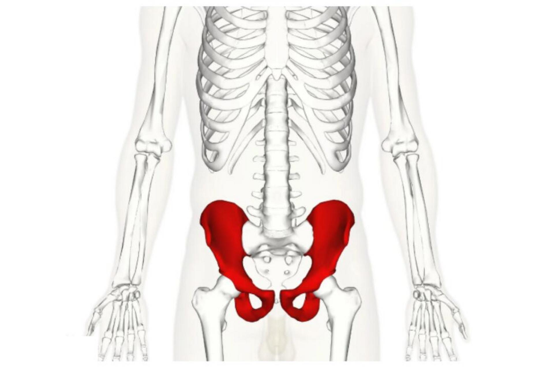 髋骨疼痛图片