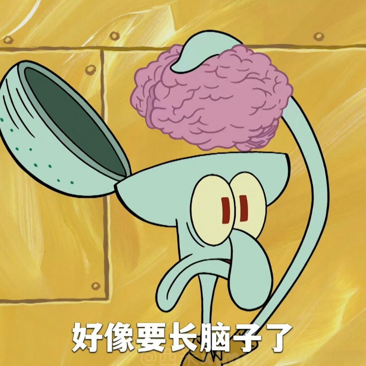 nwu轻松一刻#  分享一点章鱼哥表情包 via:本宫就要买买买