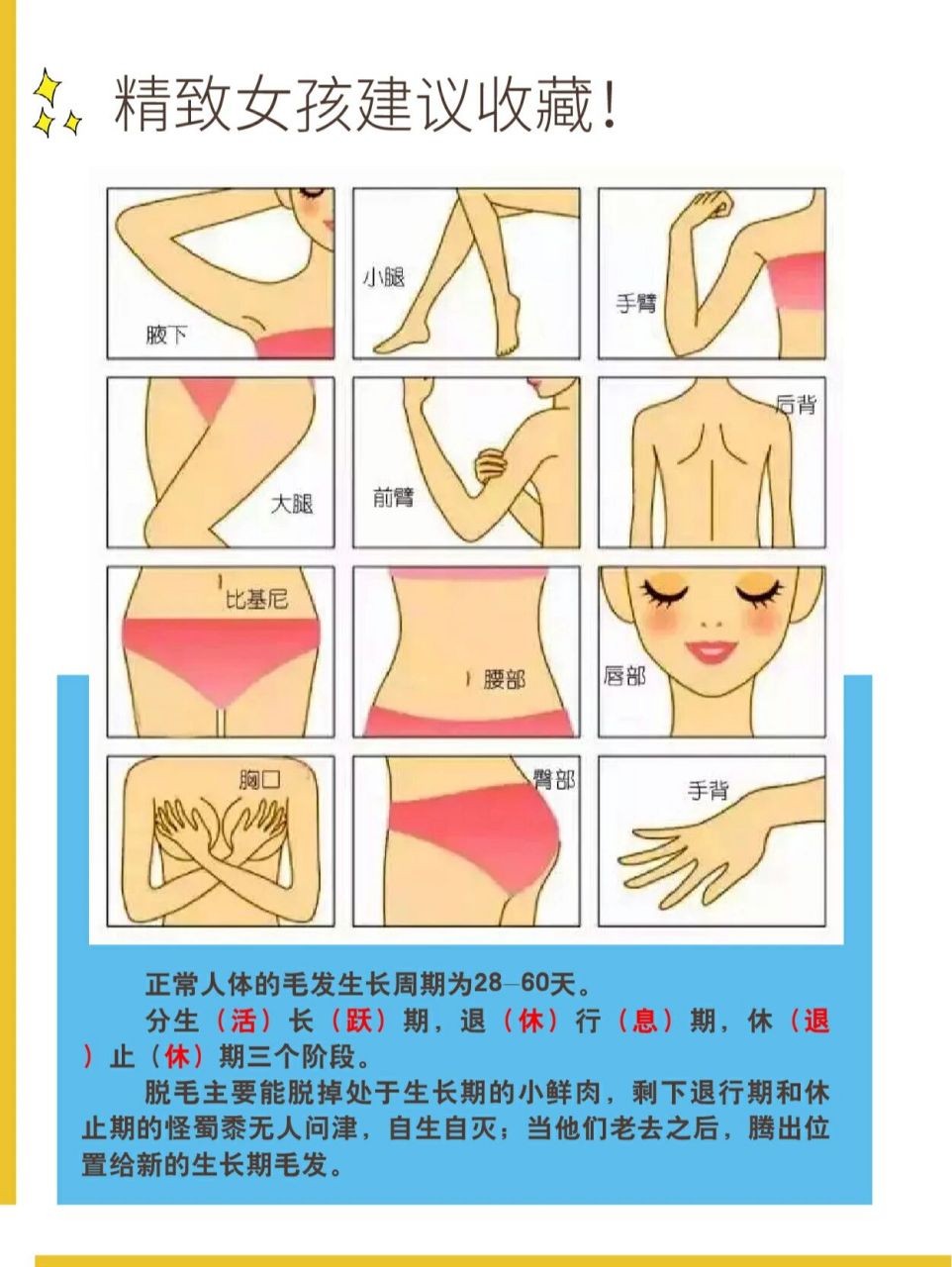 人体脱毛部位一览图,精致女孩建议收藏!
