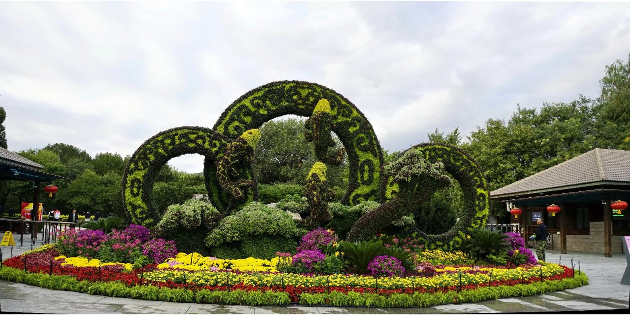 绿雕,是怎么被雕琢出来的 	 绿雕:在近年的环境综合整治中,围绕改善人