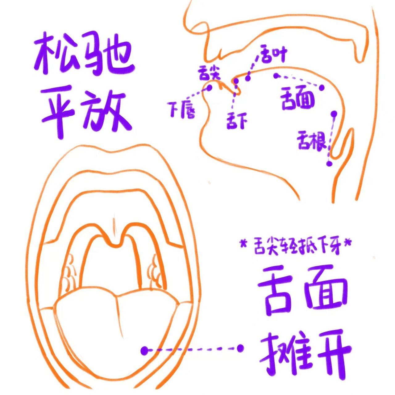 唱歌舌头凹槽训练图片