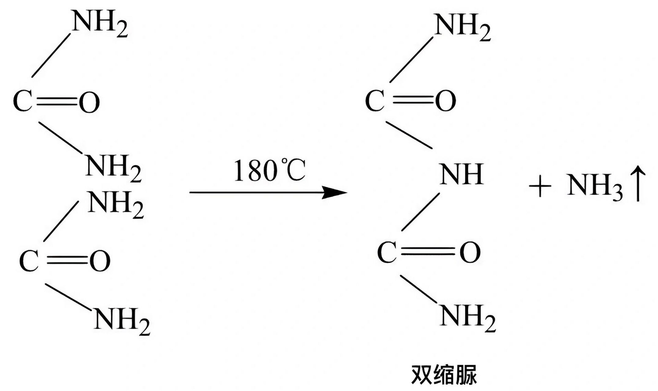 152-双缩脲反应原理 必修一有机物鉴定中涉及到了双缩脲试剂检测蛋白