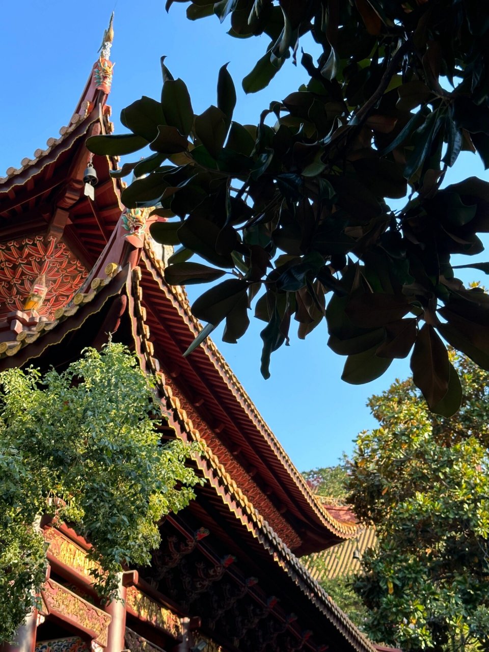 99南岳大庙| 山寺清幽 来者心诚 第一次来南岳衡山 听说朝向非常旺