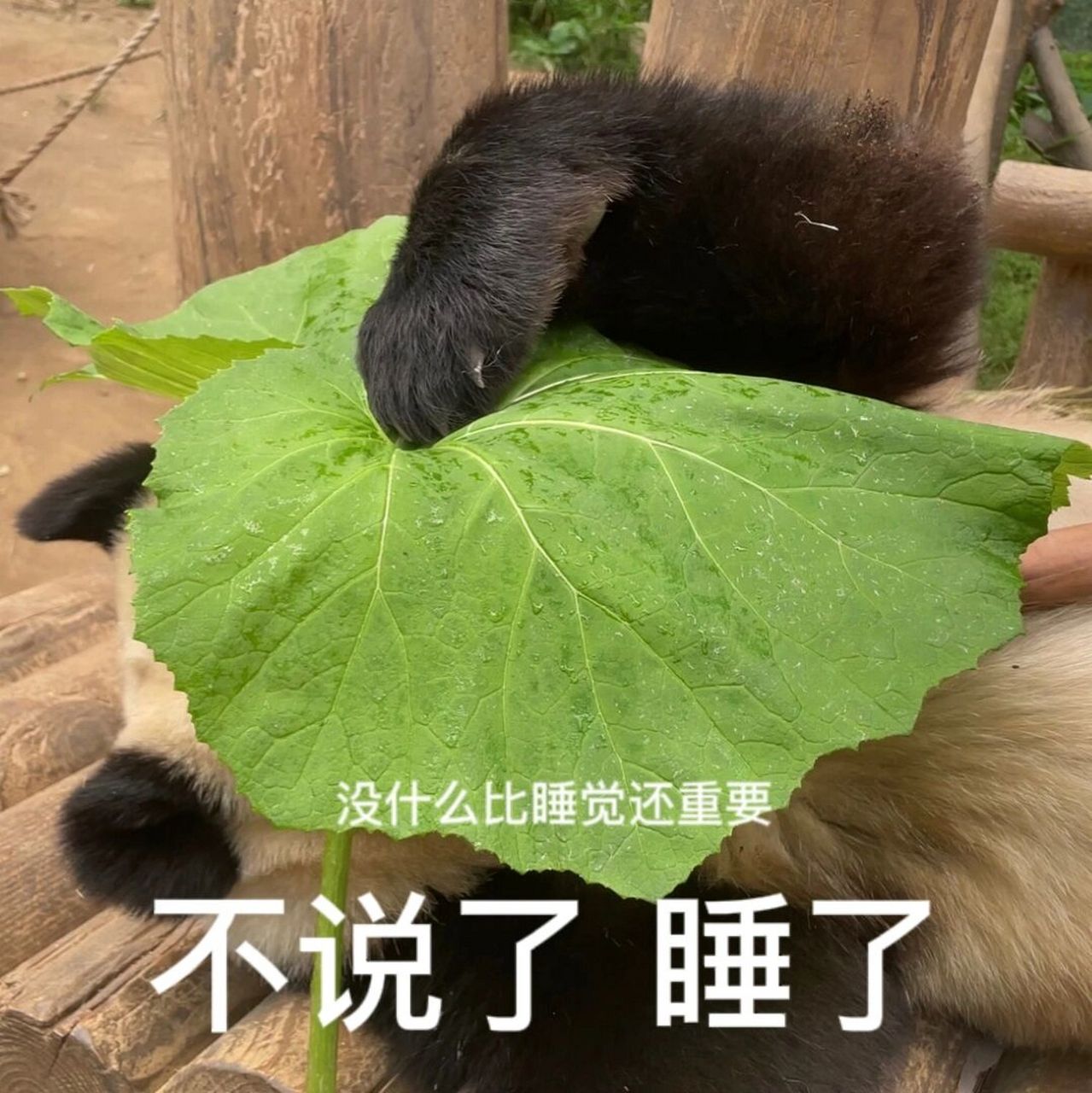 小福宝的可爱表情包119494 世界上有三种宝,充电宝,易热宝,还有