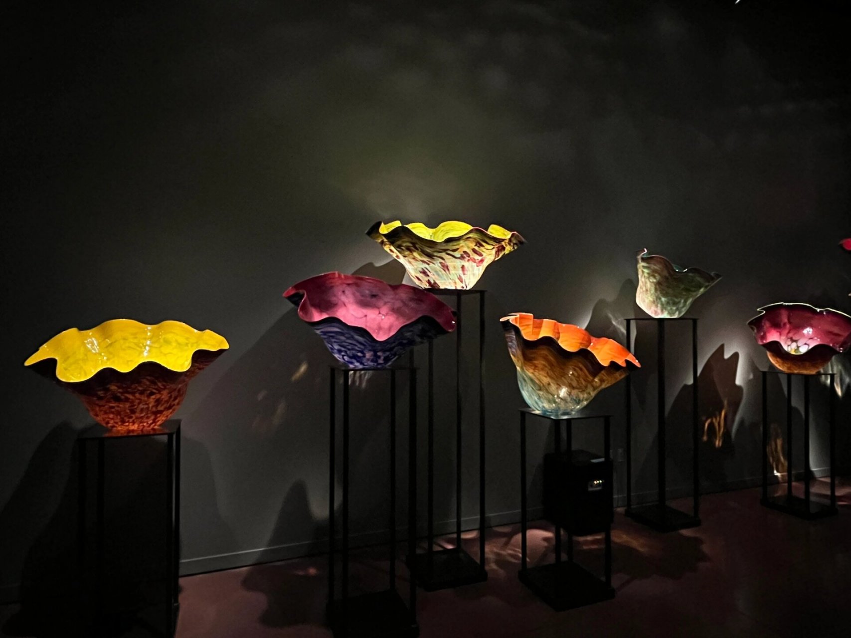 打卡西雅图齐胡利玻璃博物馆 chihuly garden and glass这个博物馆里