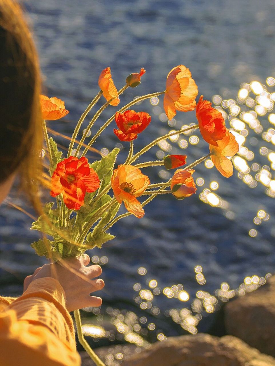 初秋的海边是橘子味的92 日落更显温柔 / 调色滤镜 99图 小垦丁70