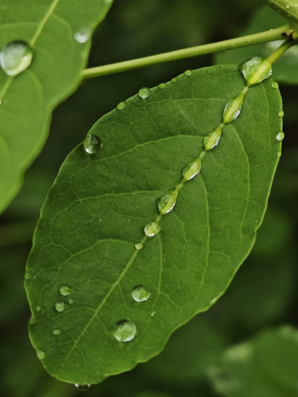 960_1280竖版 竖屏