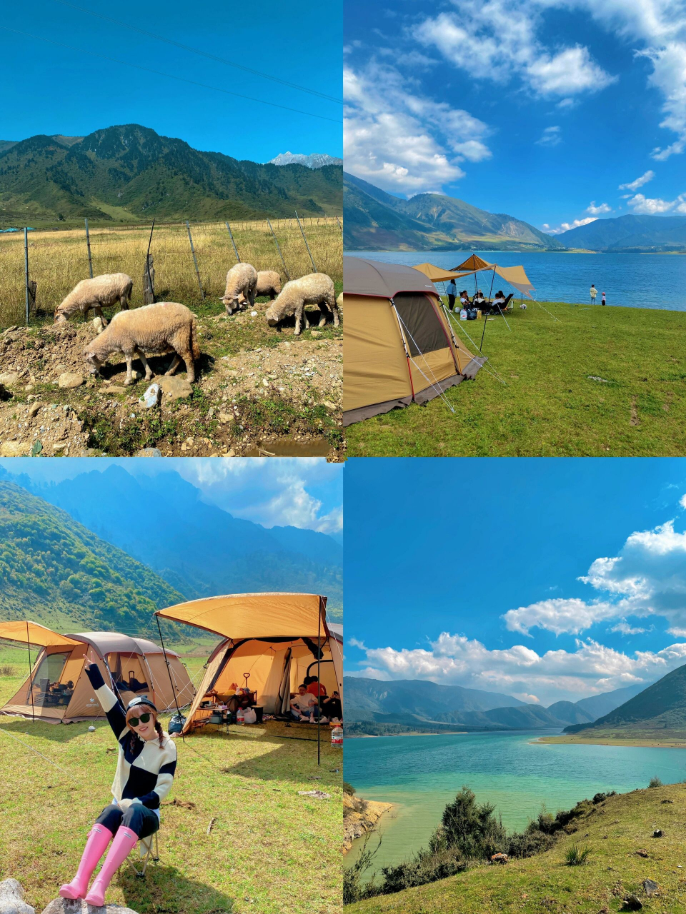 冶勒湖|终于又开放了99带上狗子去露营72 一个没有开发的原生态