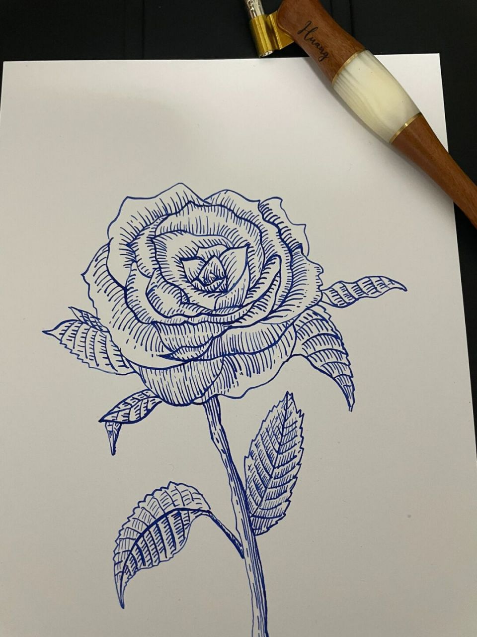 玫瑰|钢笔画 "哪朵玫瑰没有荆棘 最好的报复是美丽" 发了视频忘记发