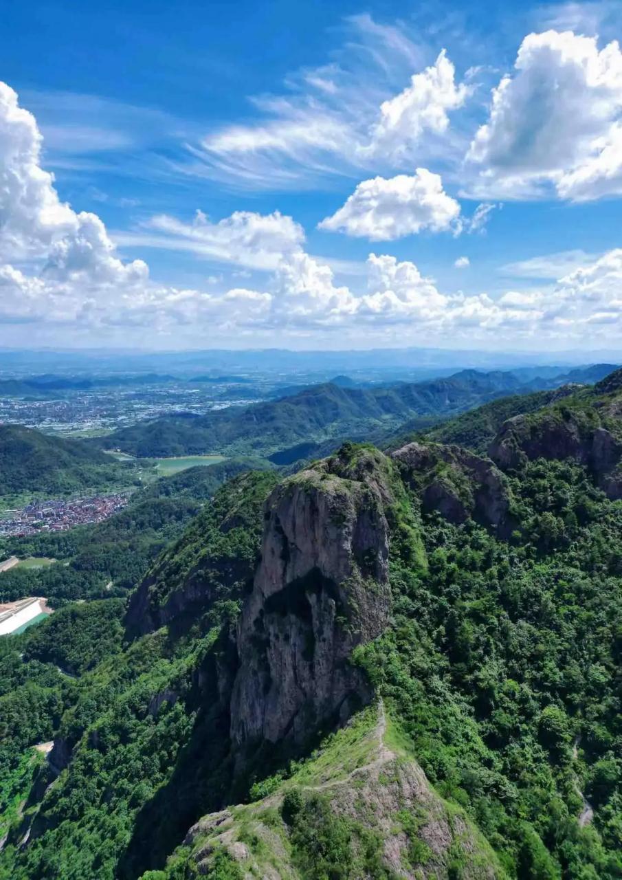 浙江金华永康市的五指山太绿了,满眼都是绿树,总觉得这些密林深处藏着