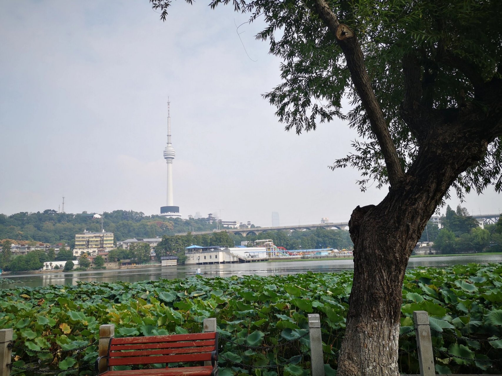 武汉莲花湖水上乐园  莲花湖位于武汉长江大桥汉阳桥下,毗邻长江之滨