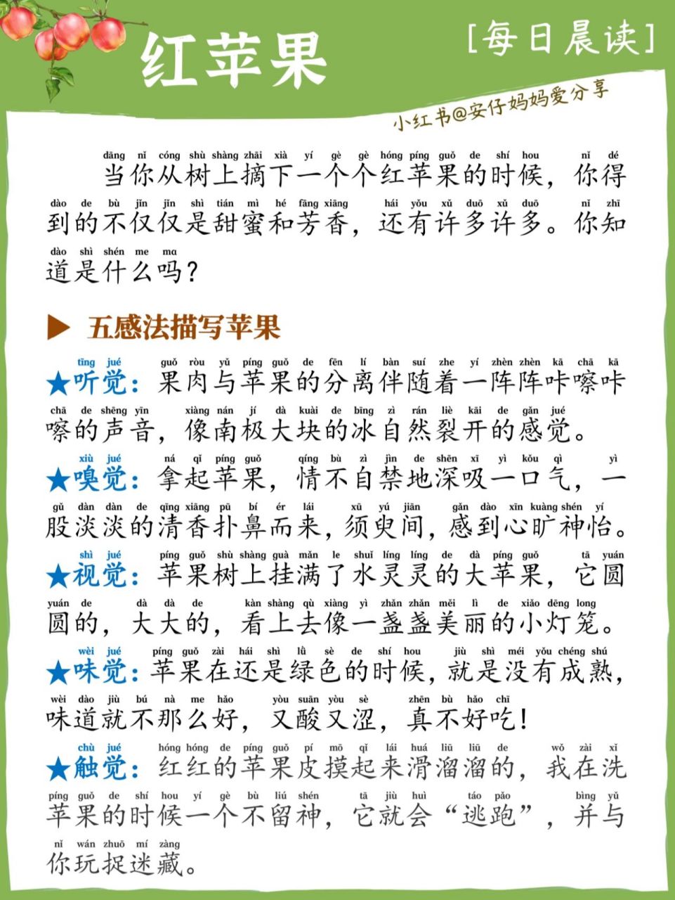 描写红苹果/小学生晨读/带拼音/五感法写作 小学生美文晨读作文(带