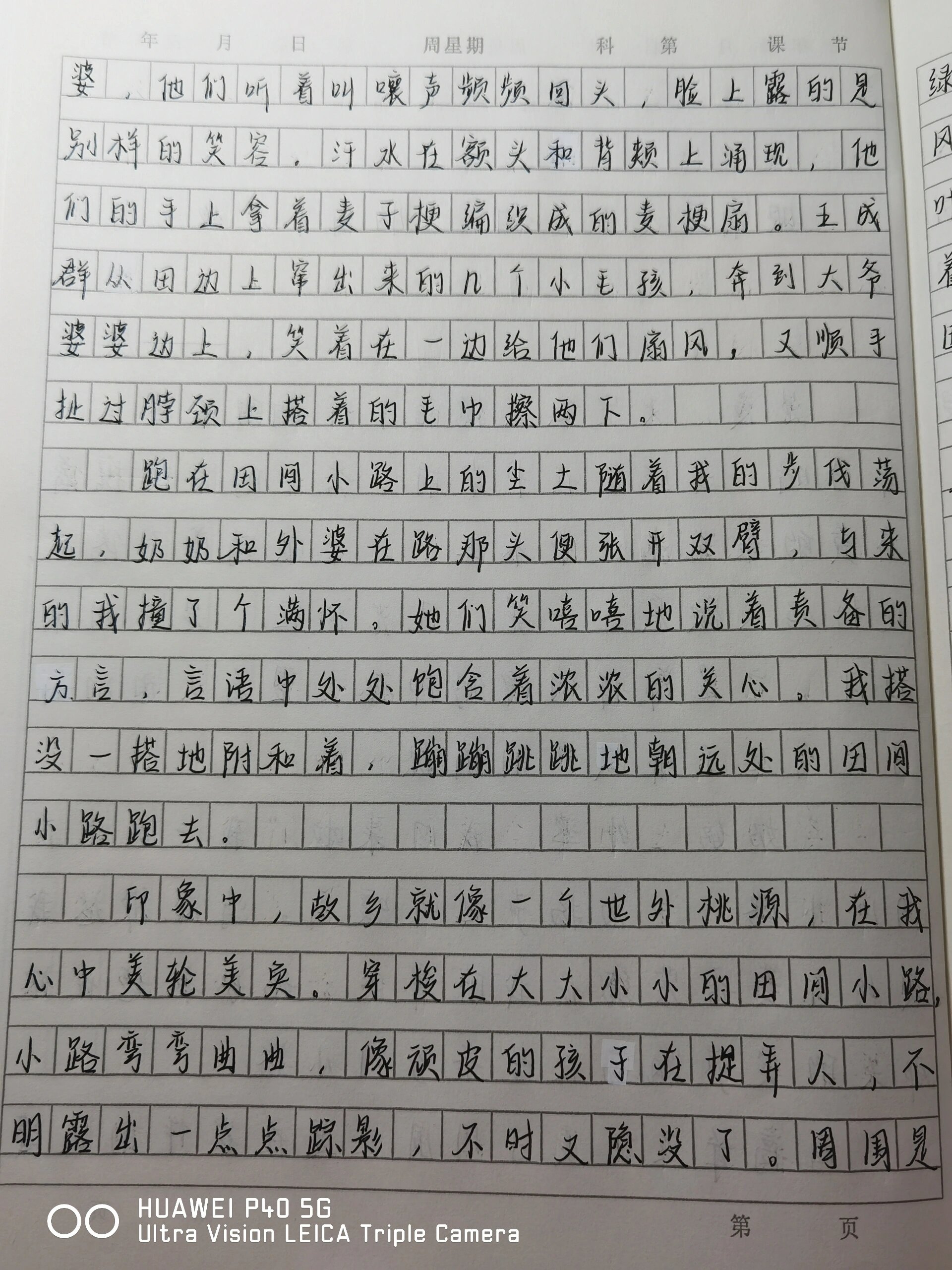 作文《故乡之夏》