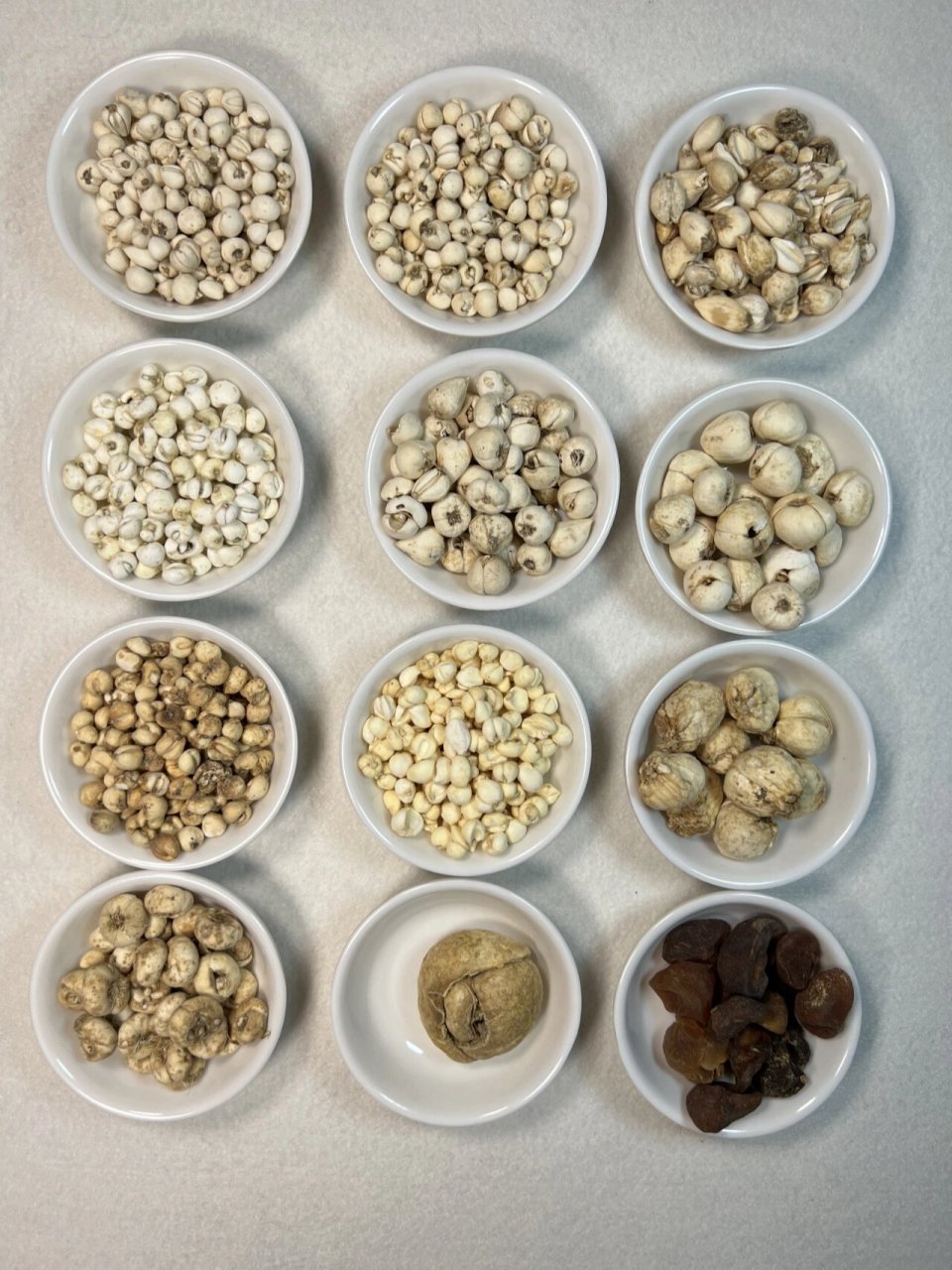 不同贝母,价格相差几十倍,所以贝母市场非常混乱,只有当你能分背鲻