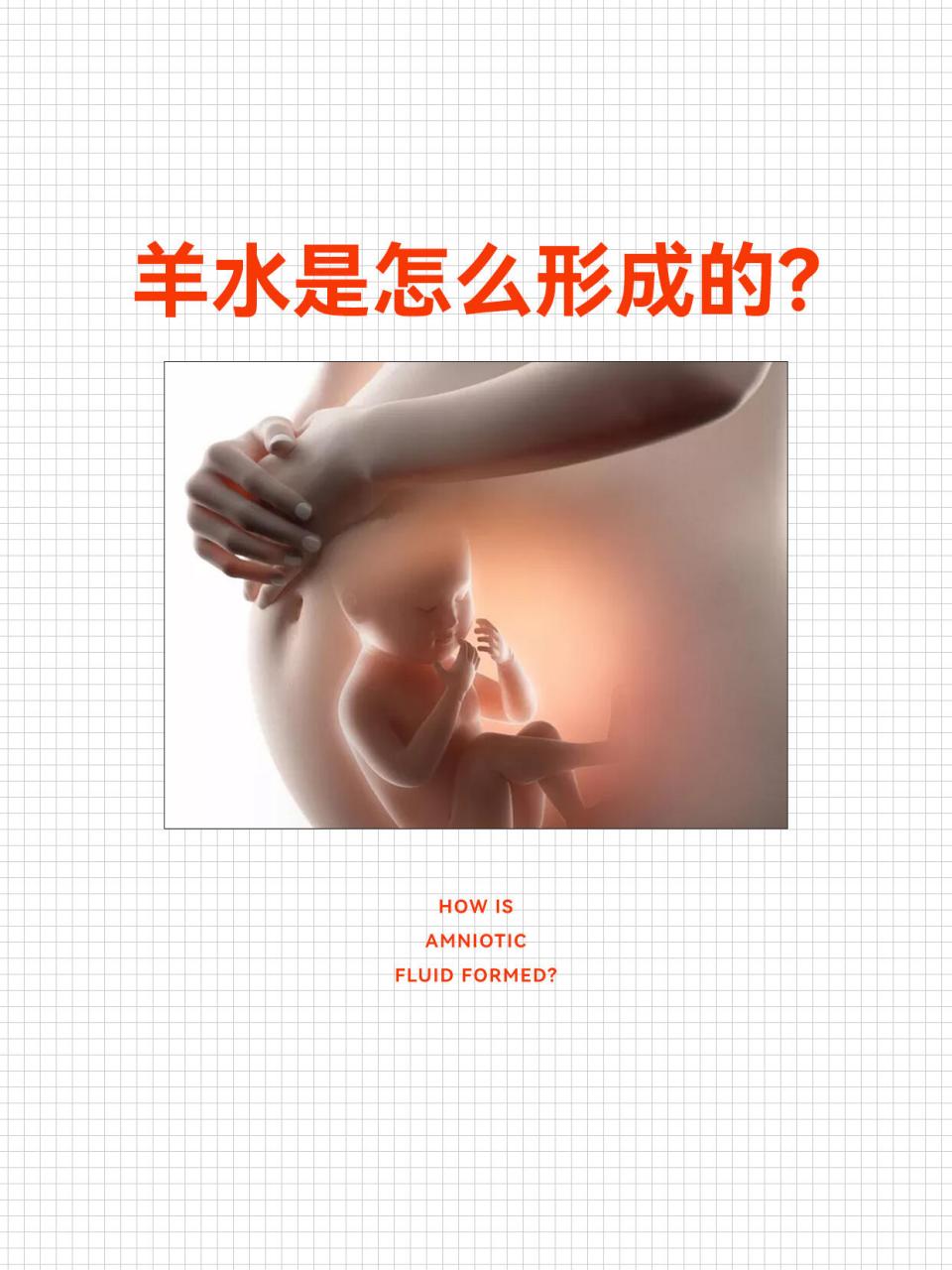 羊水是由母体血清经过胎膜进入羊膜腔的透析液以及胎儿的尿液,羊膜上