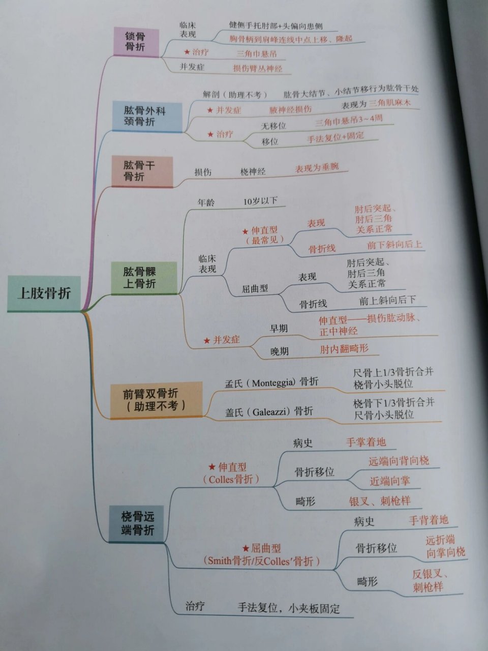 运动系统结构图简笔画图片