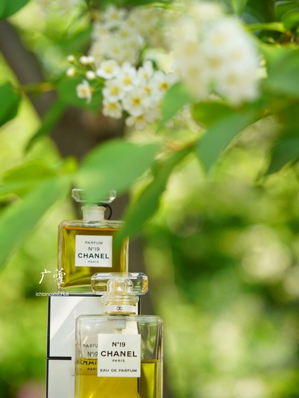 广藿穿香|哪支香水,才是永不出错的上班香?