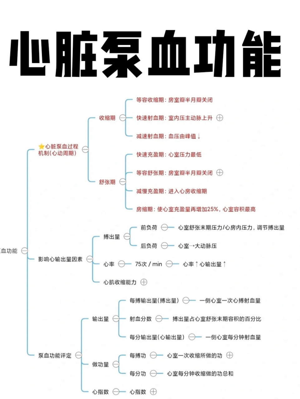 血液,心脏泵血功能,血管生理思维导图