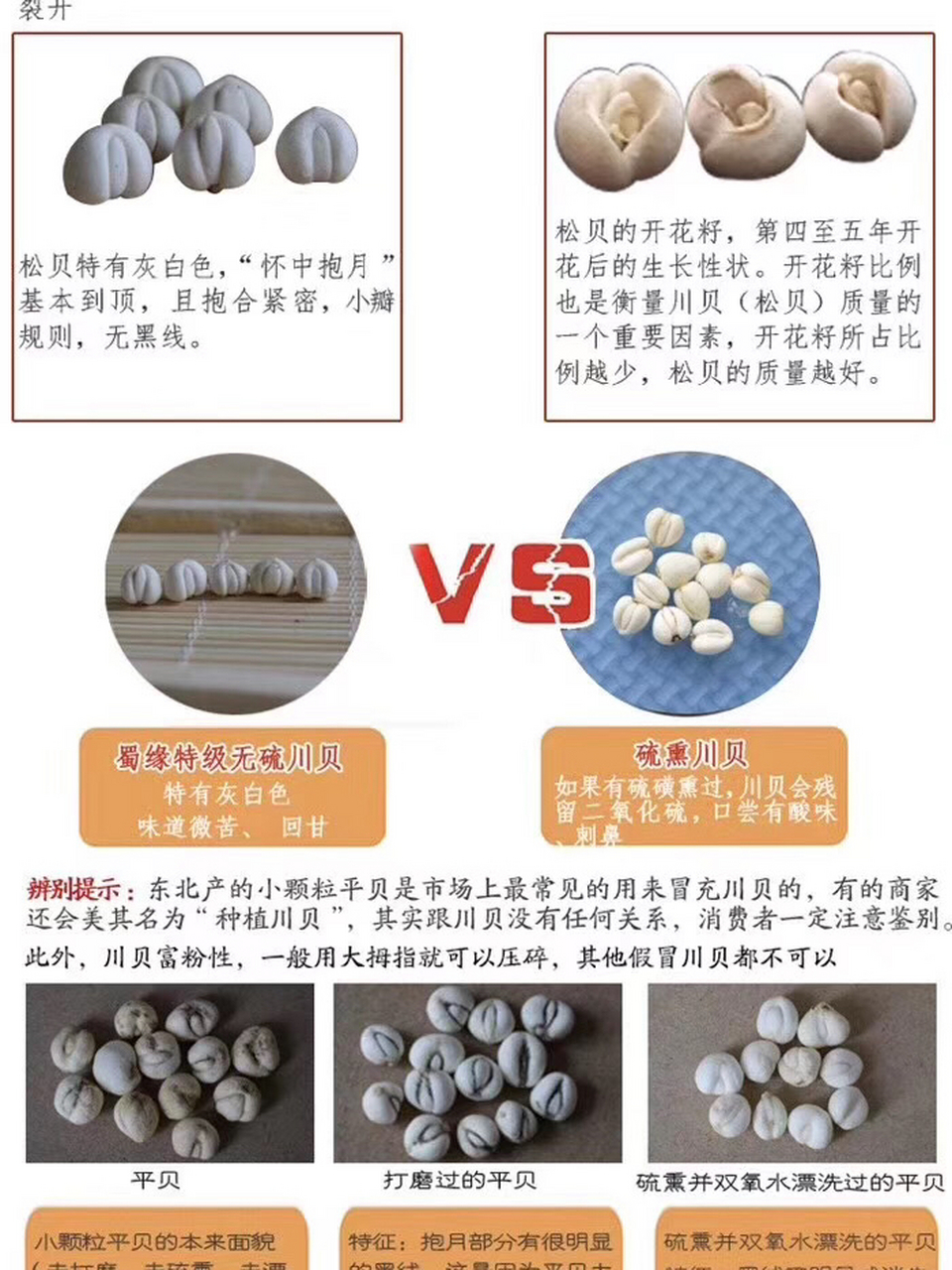 川贝,平贝,浙贝～傻傻分不清楚 野生川贝:功效止咳,久咳,润肺,作用于