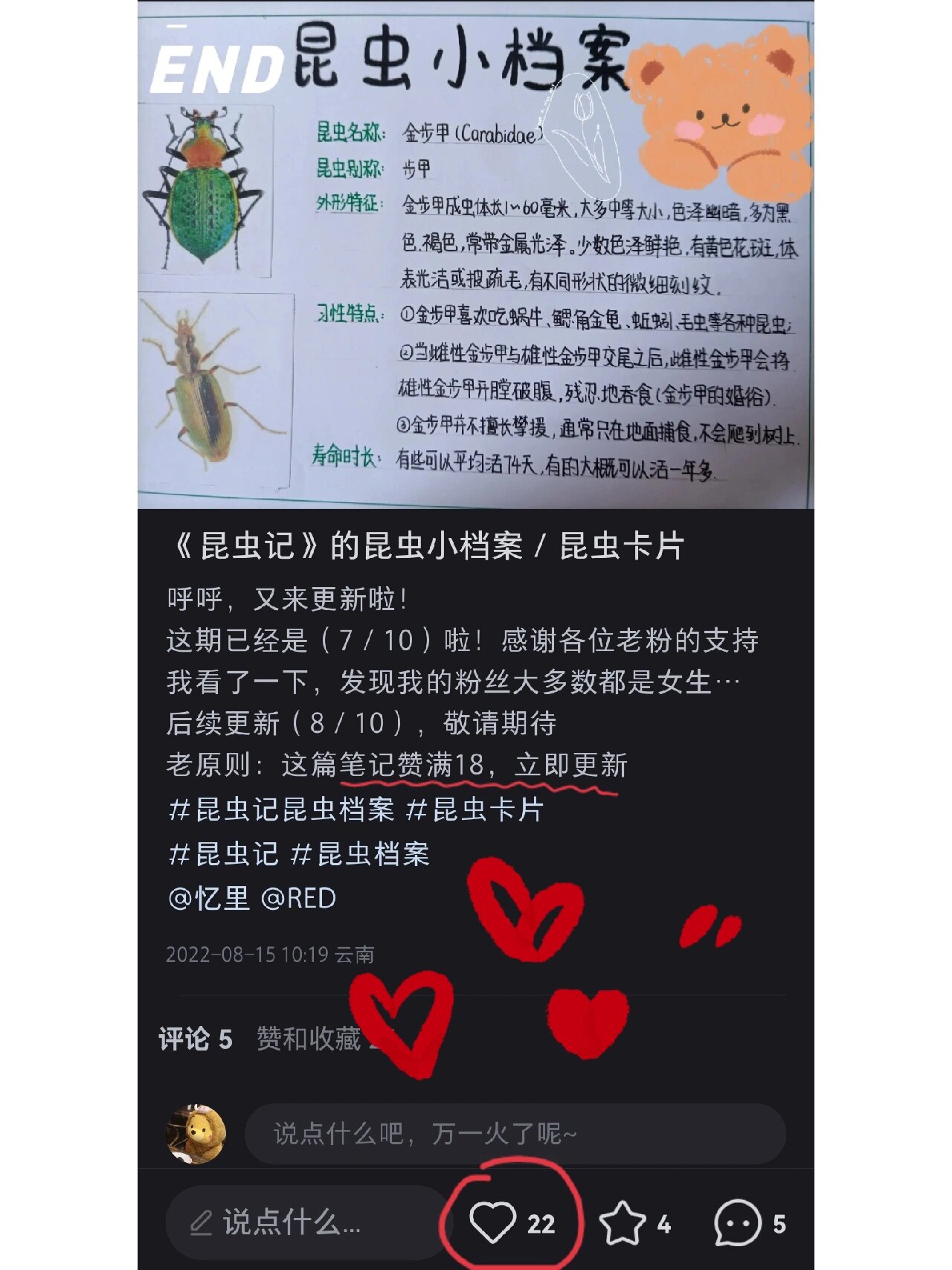 昆虫记昆虫档案石蚕图片