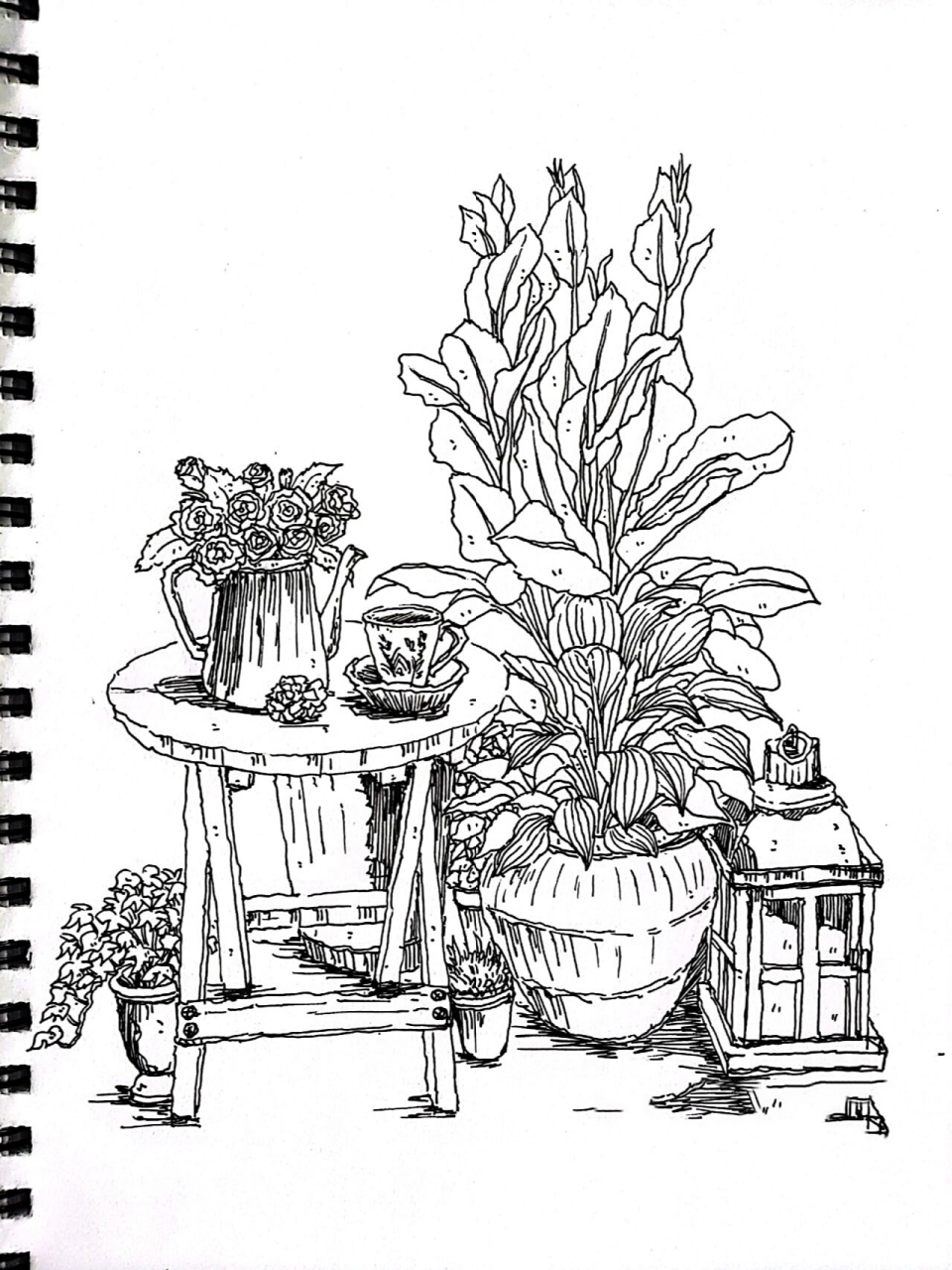 钢笔植物 小景 |   风景速写写生 绘画打卡100幅50