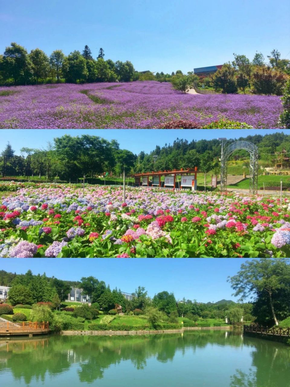 9115营地:羊昌·花画小镇房车帐篷露营基地 99地址:贵阳市乌当