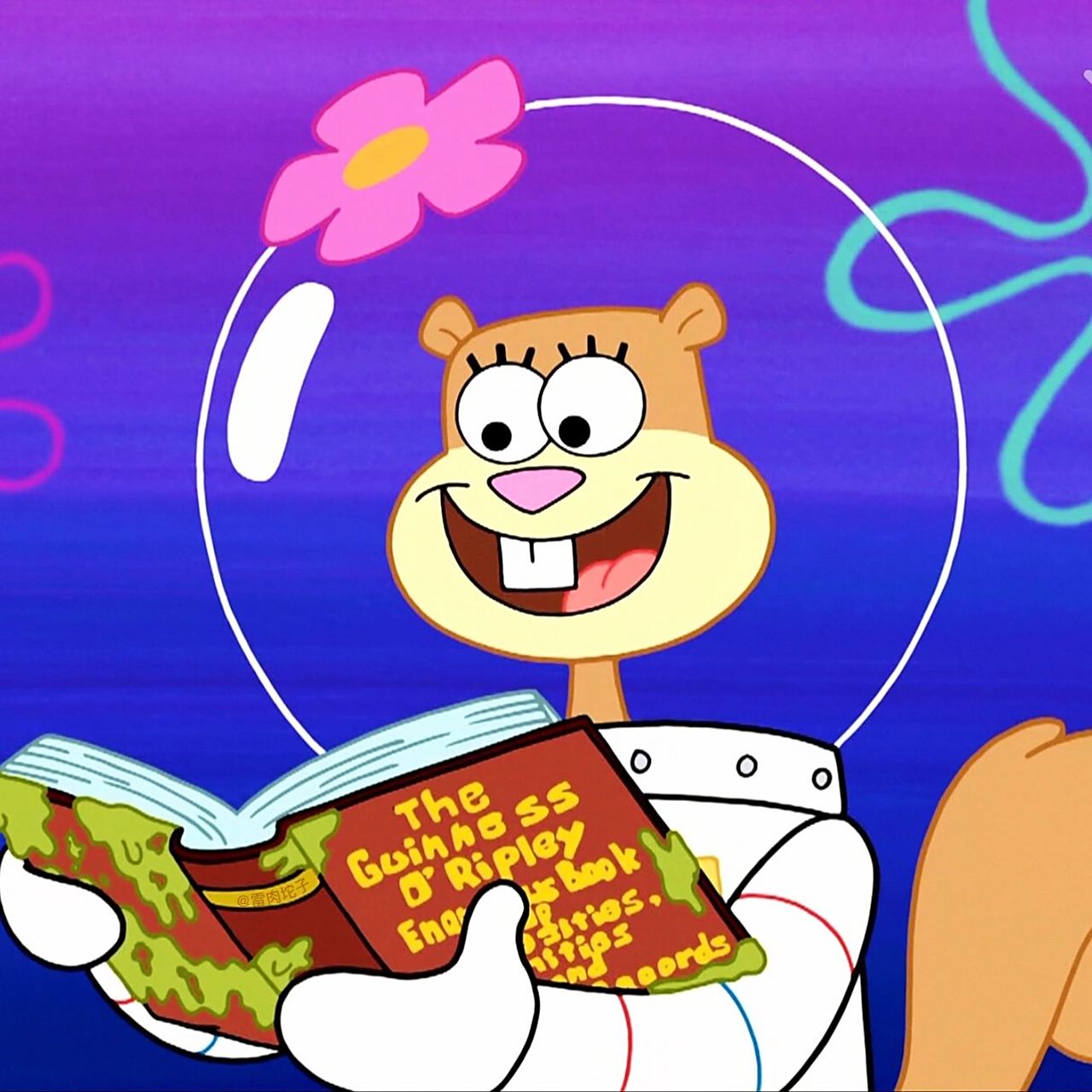 珊迪头像合集26615