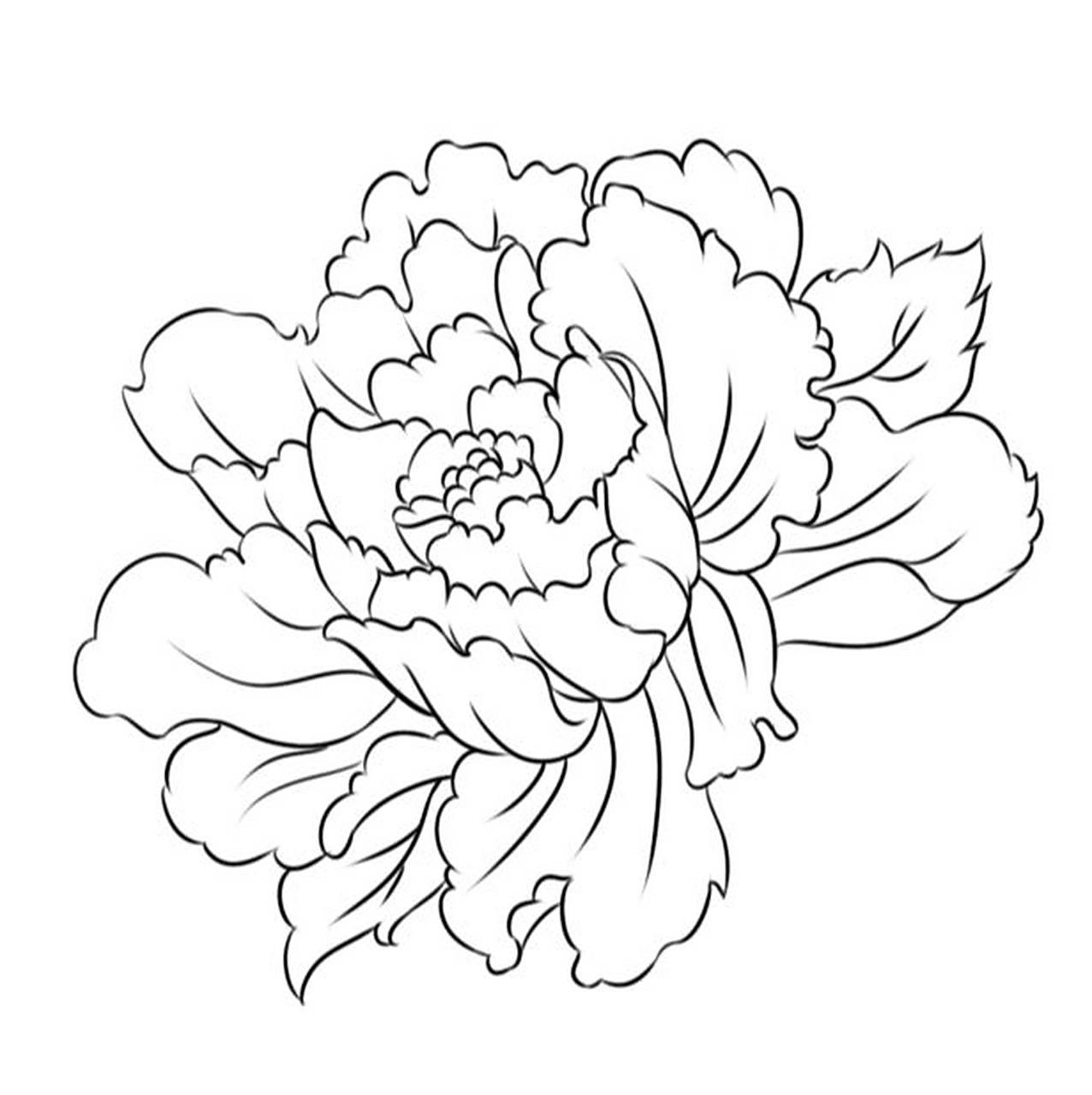 分享一波自己画的国潮牡丹线稿,需要psd格式的就评论吧,我发给你.