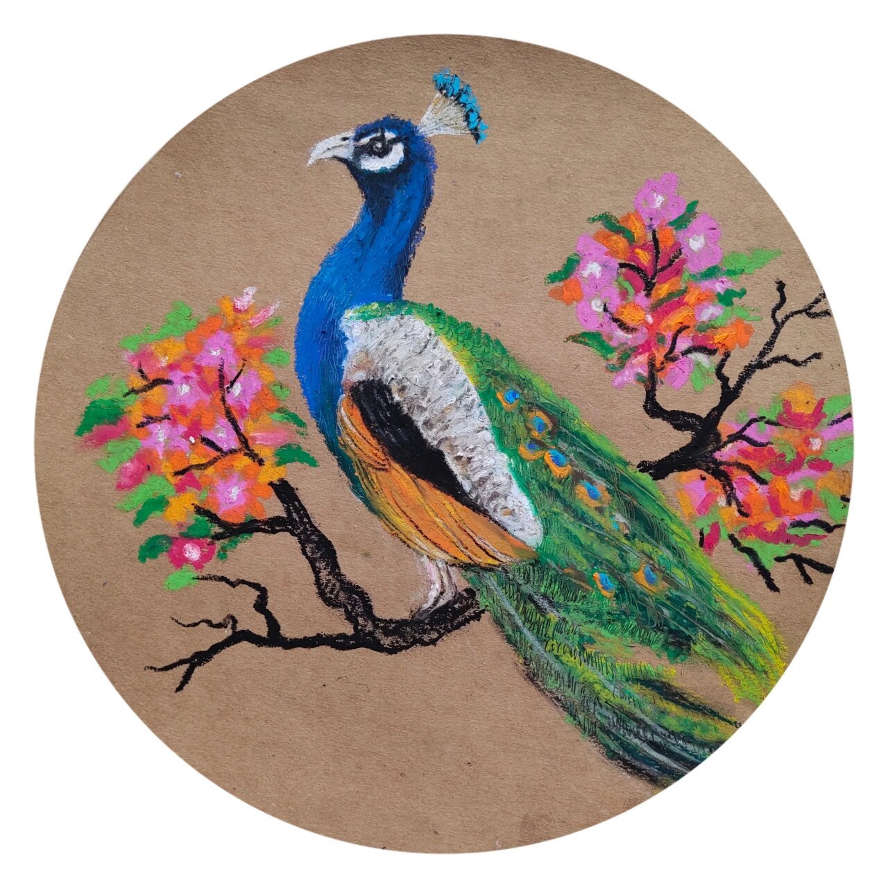 重彩油画棒《孔雀》 根据自己的感受去画,只有用心,作品才会打动人