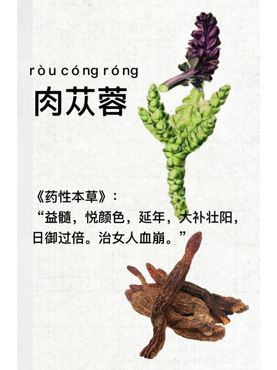 第19天:识《肉苁蓉》 第19天:识《肉苁蓉》 16615释名:肉松蓉,淡