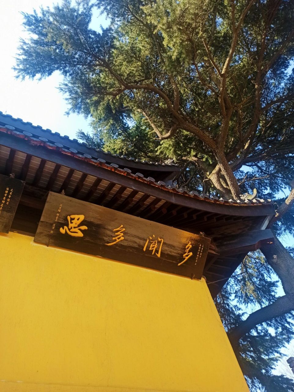 靖江孤山寺,牧城公园,江边,都值得一去哦