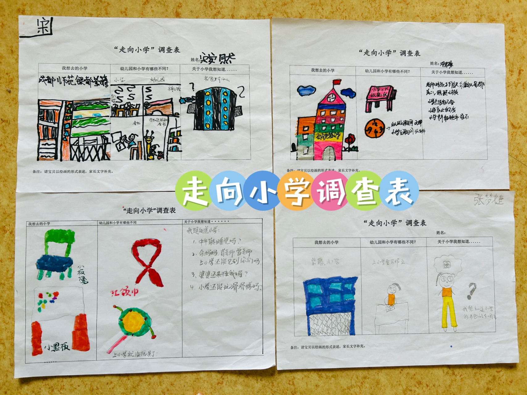 走向小学调查表08