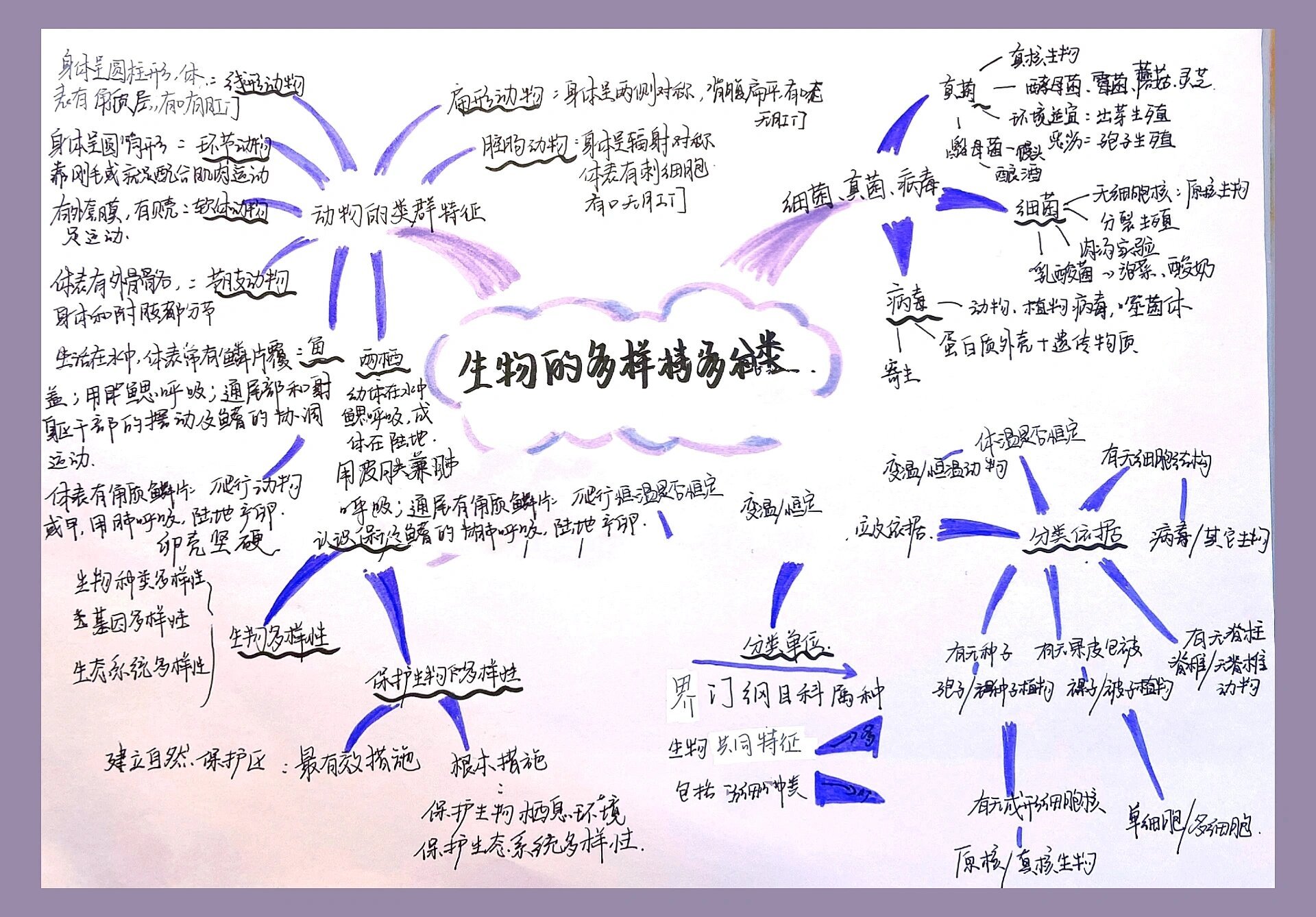 生物的多样性及分类思维导图91