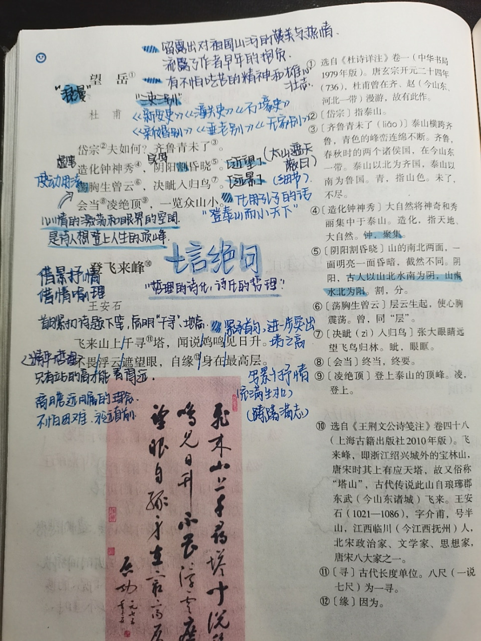 望岳 登飞来峰 游山西村 己亥杂诗(其五) 75重点诗词笔记 #七下语文