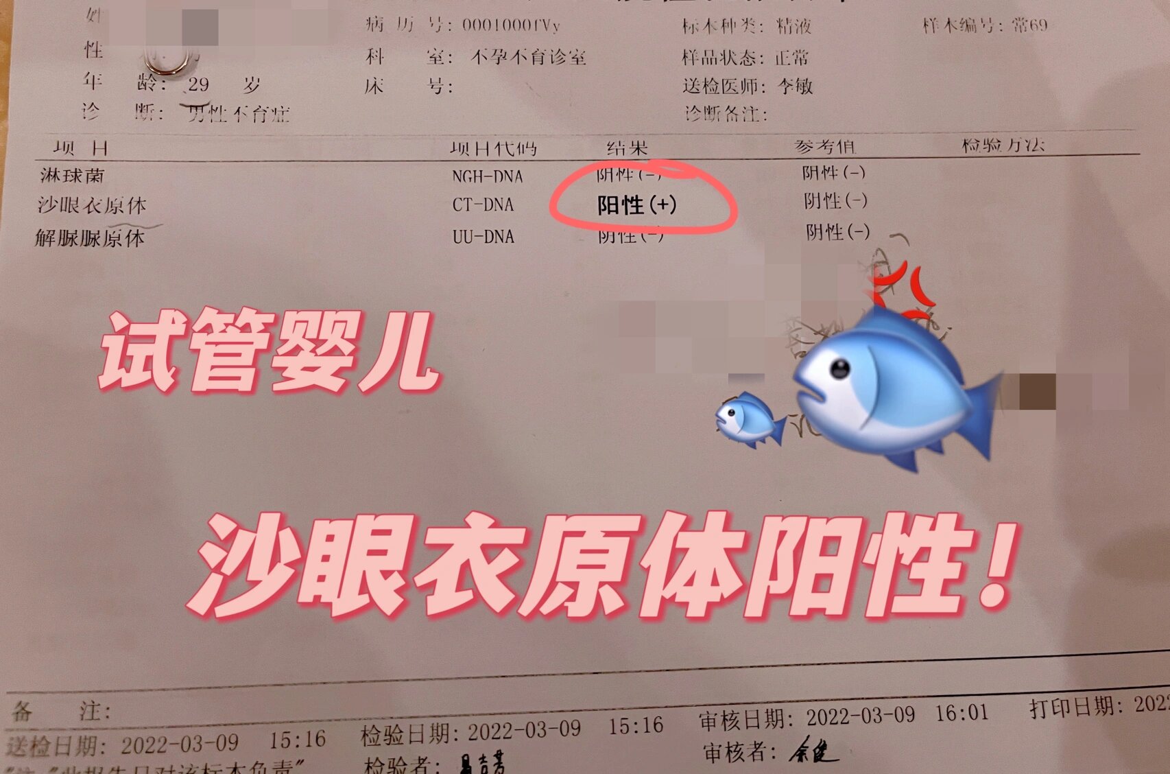 试管婴儿—男方沙眼衣原体阳性8715 沙眼衣原体阳性(男方检查出来