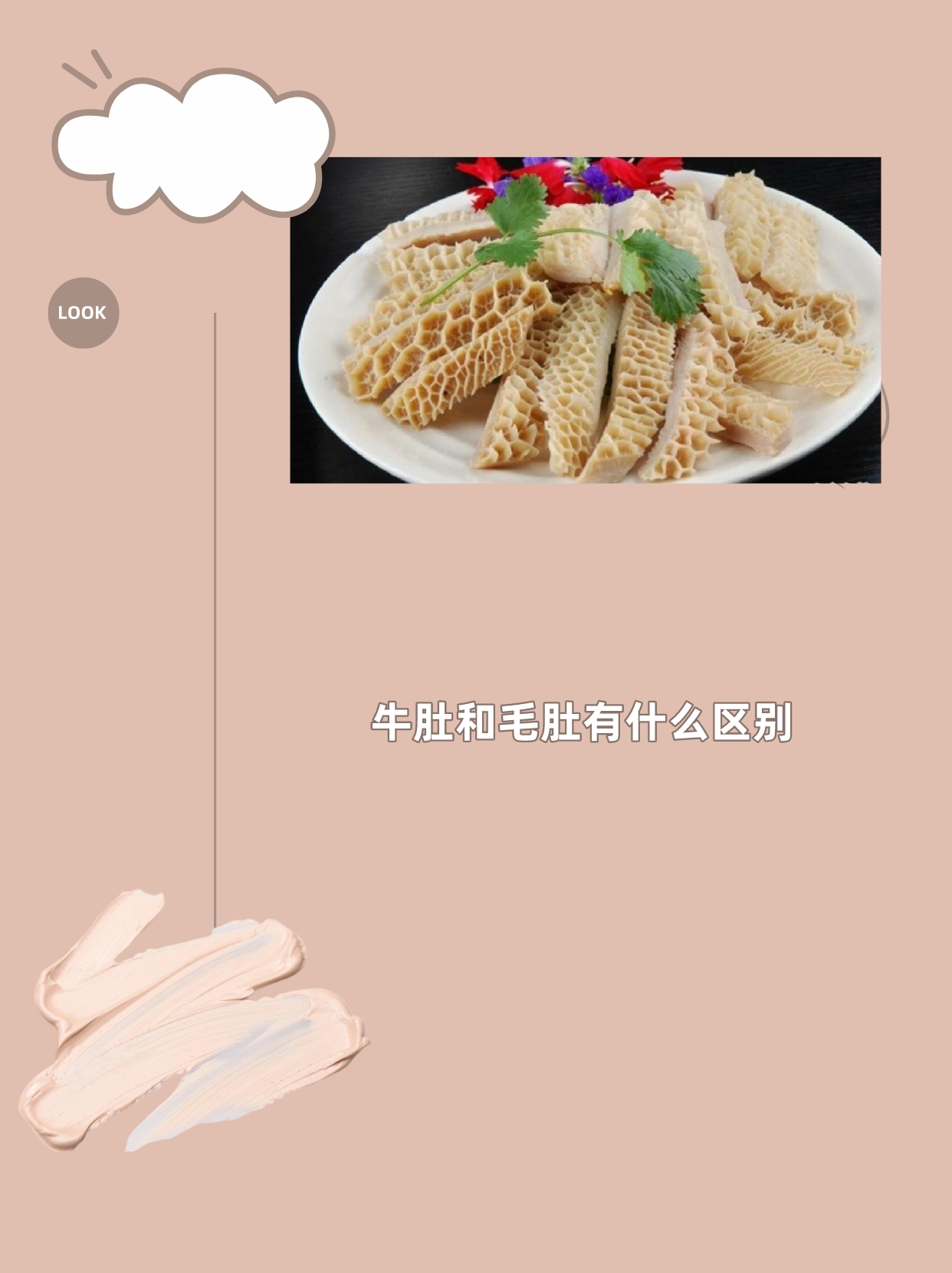 牛肚和毛肚有什么区别 牛肚和毛肚都是牛的胃部,但它们在外观,口感和