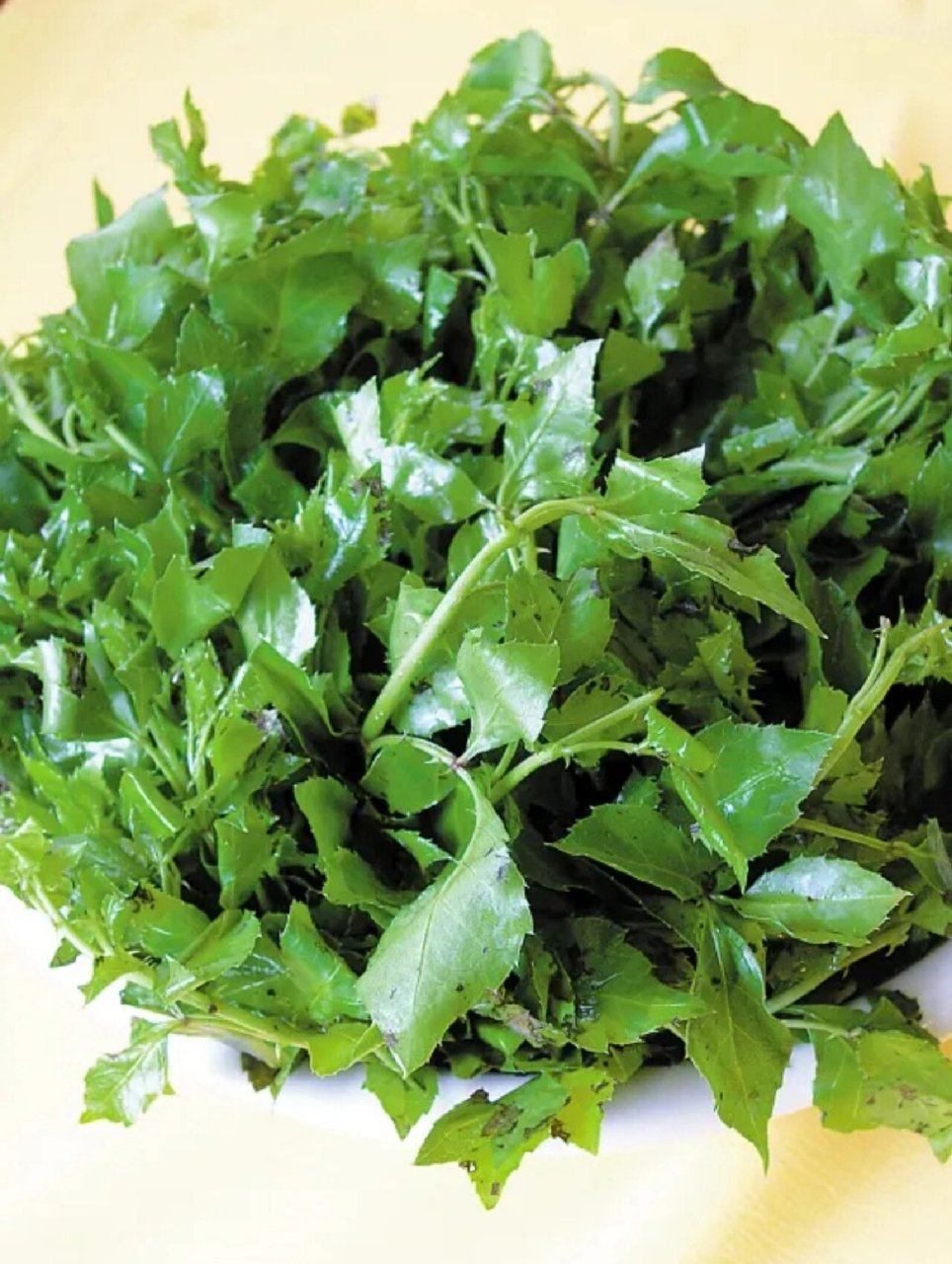 喜欢吃簕菜吗?想知道恩平小伙伴们的想法